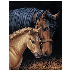 Dimensions Картина по номерам