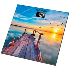 Весы ENDEVER Aurora-552