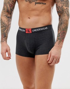 Темно-серые боксеры-брифы с монограммой Calvin Klein - Серый