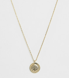Позолоченное ожерелье с подвеской в виде ракушки Orelia - Золотой