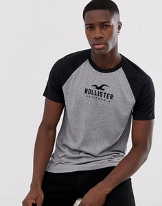 Серая бейсбольная футболка с рукавами реглан и логотипом Hollister - Серый