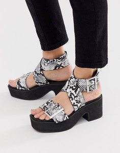 Черно-белые босоножки на каблуке со змеиным принтом ASOS DESIGN - Мульти