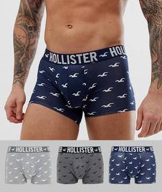 Набор из 3 боксеров-брифов с логотипом на поясе Hollister - Мульти