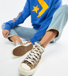 Высокие кеды Bershka x Converse Letter - Коричневый