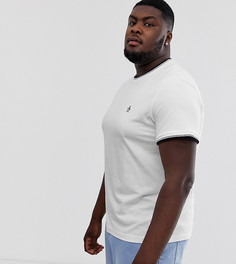 Белая футболка с круглым вырезом, окантовкой и логотипом Original Penguin Big & Tall - Белый