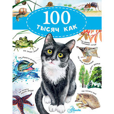 Энциклопедия "100 тысяч как", Бобков П. Издательство АСТ