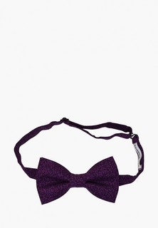 Бабочка Rainbowtie