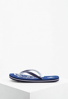 Сланцы Polo Ralph Lauren