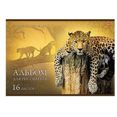 Альбом для рисования Hatber В