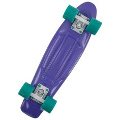 Лонгборд Termit ETESB005P3