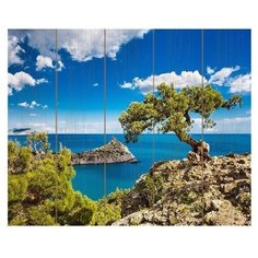 Molly Картина по номерам