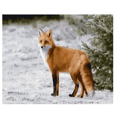 Molly Картина по номерам Рыжий