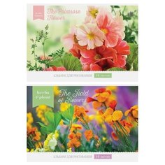 Альбом для рисования на скрепке Art Space