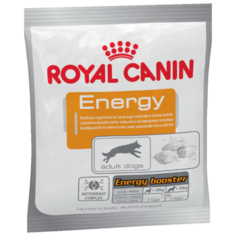 Лакомство для собак Royal Canin