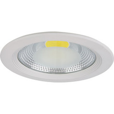 Точечный светильник Lightstar 223204