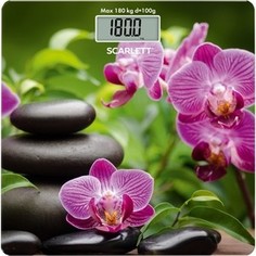 Весы Scarlett SC-BS33E038