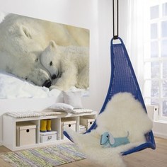 Фотообои Komar Polar Bears NG 184 х 127см. (1-605)