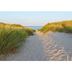 Фотообои Komar Sandy Path (3,68х2,54 м) (8-995)