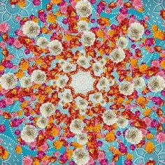 Фотообои Komar Happiness (1,84х2,54 м) (4-969)