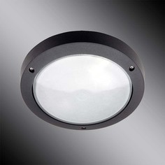 Уличный настенный светильник Brilliant 48480/06