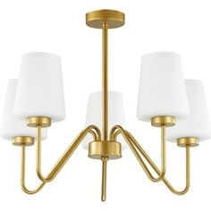 Подвесная люстра Lumion 3791/5C