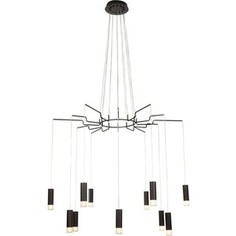 Подвесная люстра Maytoni MOD035PL-12B