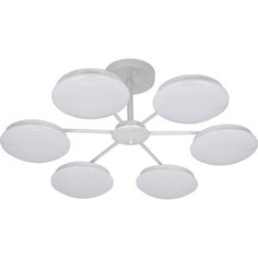 Потолочная светодиодная люстра F-Promo 2475-6P