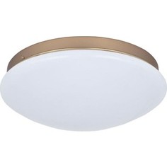 Потолочный светодиодный светильник F-Promo 2466-2C