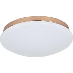 Потолочный светодиодный светильник F-Promo 2465-2C