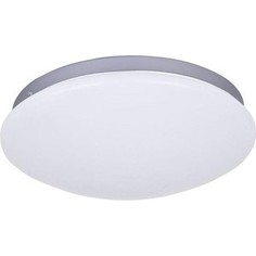 Потолочный светодиодный светильник F-Promo 2467-2C