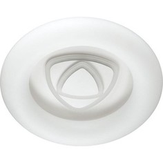 Потолочный светодиодный светильник Lumion 4419/99CL