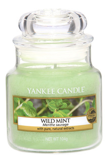 Свеча маленькая Дикая мята YANKEE CANDLE