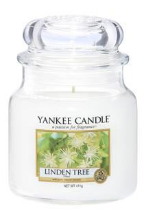 Свеча средняя Липа YANKEE CANDLE
