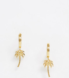 Позолоченные серьги-кольца с пальмой Orelia - Золотой