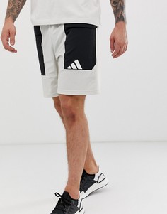 Серые спортивные шорты Adidas training - Серый