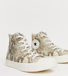 Высокие кеды со змеиным рисунком Converse - Chuck Taylor - Серый