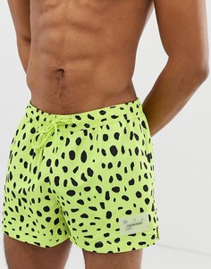 Лаймово-зеленые шорты для плавания в горошек Calvin Klein - Зеленый