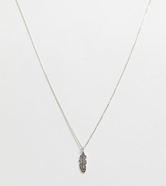 Серебряное ожерелье с подвеской в виде пера Kingsley Ryan - Серебряный