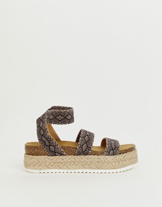 Эспадрильи на платформе с принтом под кожу змеи Steve Madden Kimmie - Мульти