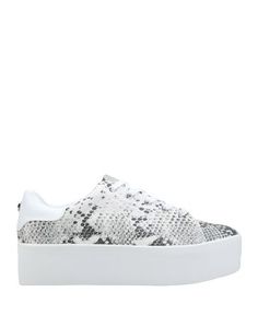 Низкие кеды и кроссовки Steve Madden