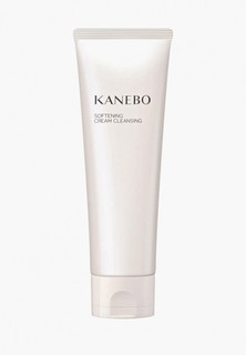 Средство для снятия макияжа Kanebo