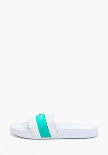 Сланцы PUMA