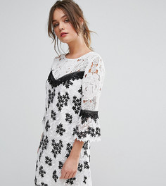 Черно-белое кружевное платье Miss Selfridge - Мульти
