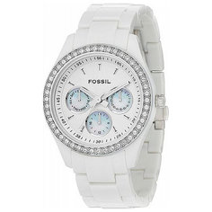 Наручные часы FOSSIL ES1967