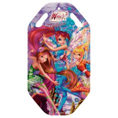 Ледянка 1 TOY Winx Т57211