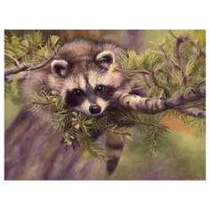 Molly Картина по номерам Енотик