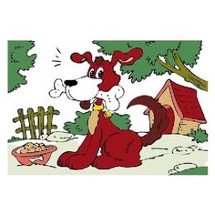 Molly Картина по номерам