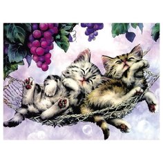 Molly Картина по номерам