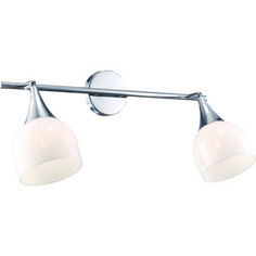 Спот Artelamp A9556AP-2CC