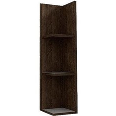 Шкаф Triton Эко Wood 20 дуб темный (Н0000020166) Тритон